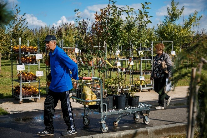 С покупками